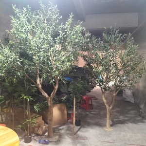 Arbre d'<span class=keywords><strong>olivier</strong></span> artificiel en fibre <span class=keywords><strong>de</strong></span> verre vert, 300 cm <span class=keywords><strong>de</strong></span> haut, large, durable, mini, réaliste, résistant aux UV, vente en gros, faible MOQ - Product Image 4