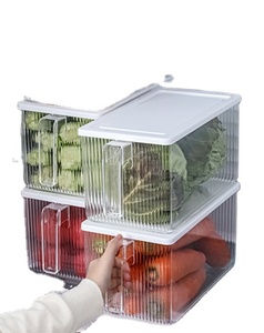 Kitchen Organizer Large Size Food Storage Container Clear Plastic Refrigerator Food Storage Box with Handle Lid