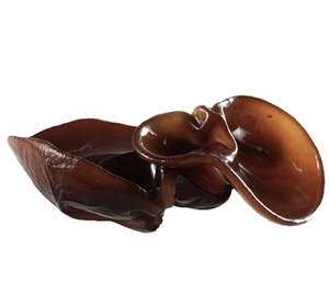 Hongo Negro Seco Natural Yumart, Hongo Negro Comestible - Product Image 5