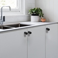 Barre en laiton pour porte de meuble, sous forme de bouton en plastique