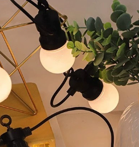 Hometown <span class=keywords><strong>Evolution</strong></span> 100 pieds noir G50 Globe guirlandes lumineuses cuivre extérieur guirlandes lumineuses pour patio café fête éclairage de noël - Product Image 6