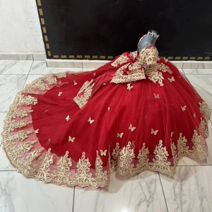 Abiti <span class=keywords><strong>da</strong></span> Damigella Personalizzati Rossi con Applicazioni Dorate e Farfalle, Maniche Corte, Classico <span class=keywords><strong>Vestito</strong></span> <span class=keywords><strong>da</strong></span> Ballo <span class=keywords><strong>per</strong></span> Feste di Compleanno <span class=keywords><strong>per</strong></span> Bambini - Product Image 2