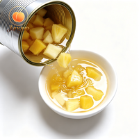 Premium fruitblokjesmix in blik, gemaakt van verse ananas, gele perzik en peerblokjes