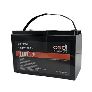 Baterai Litium CODI Li Ion Litium Lifepo4 Lipo4 12v baterai sistem energi surya 100Ah 200Ah 300Ah