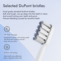 Cepillo de Dientes Sónico Inalámbrico con Carga Inalámbrica, Resistente al Agua IPX7, 360 Grados, Automático, Marca Privada ODM, OEM para Adultos