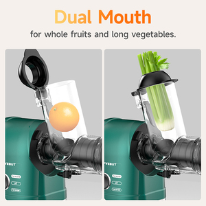 LUFVEBUT Commercial Multi-function 2-in-1 3-in-1 One-stop Kitchen Appliance Korea Slow Juicer Extractor with Coffee Grinding - Product Image 5