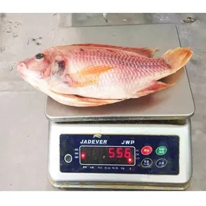 Tilapia rouge entier IQF 10kg par carton origine chinoise poisson congelé IQF WGS Tilapia rouge à vendre