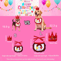 Offre Spéciale : Chapeau et Bavoir d'Anniversaire pour Animaux de Compagnie – Collier Écharpe en Peluche Mignon, Nœud Papillon Joyeux Anniversaire, Accessoires de Célébration pour Chats et Chiens