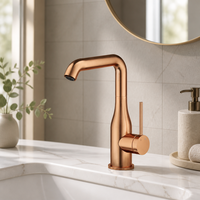 Robinet de lavabo en laiton de style allemand, monocommande, à poser sur le comptoir, avec eau chaude et froide, pour appartement et projets résidentiels