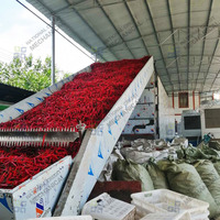 Industriële capaciteit transportband vriesdroger voor chilipepers, hete chilipepers en specerijen (rode peper)