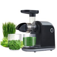 2022 새로운 느린 찬 압박 Juicer 갈퀴 수평한 디자인 음식 급료 Tritan LFGB SAA UKCA 세륨 콜럼cb ETL 증명서
