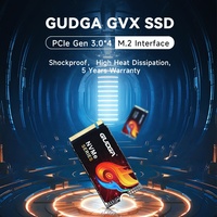 GUDGA GVX M.2 2242 NVME SSD 128GB M.2 PCIe 3.0 SSD