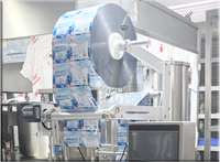 Roll Film Making Filling and Sealing Machine 4 Seal Back Sealed Bag Pouch Automatic Packing Machine for Small Business Liquid
