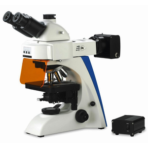 BestScope BS-2063FT(LED) Microscope optique trinoculaire à fluorescence LED pour la recherche et l'enseignement en laboratoire de pathologie clinique - Product Image 1
