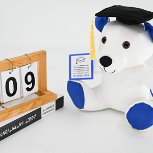 Orsacchiotto Bianco Personalizzato con Cappello per Regalo <span class=keywords><strong>di</strong></span> Laurea, Koala Peluche per Supporto Emotivo - Product Image 5