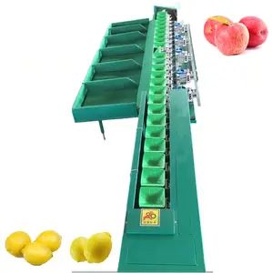 High Work Efficiency Fruit Weight Sorter Apple Mango Sorting Grading Machine
