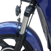 Precios Más Bajos Bicicleta Eléctrica de 14 Pulgadas 500w 45 Kmh con Certificación CE para Adultos