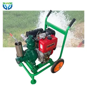 Pompe di irrigazione agricole del motore Diesel 16 Hp filippine Farm irrigazione macchina pompa dell'acqua