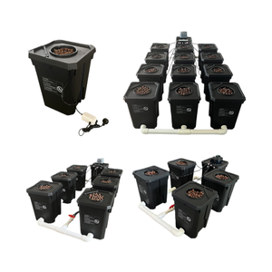 Großhandel RDWC 12-Eimer DWC Hydroponik-System Schwarzes Kunststoff-Tiefwasserkultur-Dutch-Bucket-System Gartenbedarf - Product Image 1