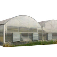 Film plastique de serre en polycarbonate pour culture hydroponique Tunnel agricole résistant aux UV de 200 microns pour culture hydroponique
