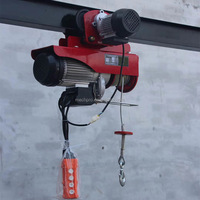Mini treuil électrique de haute qualité 250kg/500kg moteur nouveau matériau de Construction ascenseur petite élingue de câble métallique de Construction