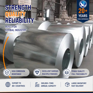Chapa de Acero Inoxidable 304L Perforada por Láser, Grado Alimenticio, 25mm, 304, Revestida, Marina, 10mm, 310, Precio - Product Image 1