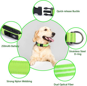 Collier et laisse pour chien en nylon réglable, rechargeable, avec motif personnalisé de luxe, vente en gros - Product Image 2