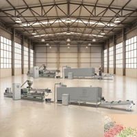 Línea de Producción de Arena para Gatos de Tofu Industrial, Máquina de Procesamiento de Arena para Gatos a Base de Almidón de Maíz
