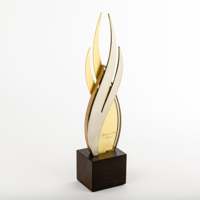 Noble personnalisé coupe acier ornements flamme feu torche avec base en bois réalisation trophée prix Logo personnalisé cadeau d'affaires artisanat à la main