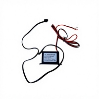 Invertisseur de feuille EL PYL PYL-EL-D12W006-ER DC12V, mode lumière constante, étanchéité simple, conception à faible bruit, câblage rouge et noir