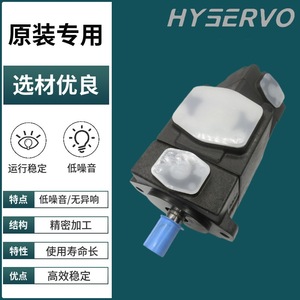 ปั๊มไฮดรอลิกแรงดันสูง HONGYI ขนาด 32 ซม. 200 บาร์ สำหรับใช้งานในอุตสาหกรรม - Product Image 2
