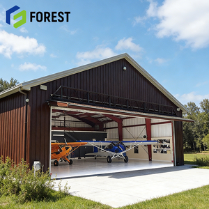 Hangar de Acero Galvanizado para Aviones, Estructura Profesional de Fabricación China, para Construcción de Aeropuertos, Listo para Enviar - Product Image 1