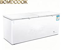 Congélateur coffre commercial grande capacité pour usage professionnel et hôtelier, congélateur/réfrigérateur à température unique