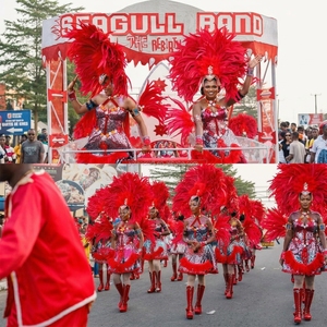 Plumes de <span class=keywords><strong>coq</strong></span> teintes sur mesure en gros pour déguisement de carnaval brésilien, spectacle de samba, défilé de showgirl, décoration de coiffure - Product Image 4