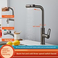 Robinet de cuisine extractible en acier inoxydable gris Modèle C222 pour évier de lavage de légumes, évier de vaisselle, évier de balcon, évier de buanderie, eau froide et chaude