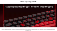 Clavier de jeu mécanique FGG MAD 68 HE RGB 60% filaire avec interrupteurs magnétiques PRO, 68 touches