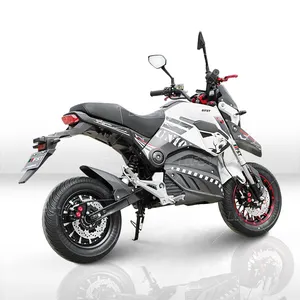 2023 150Km/H Speed Adult 10000 Wat Cerrado Cheap 1500 Watt Motorbike Electric Motorcycle