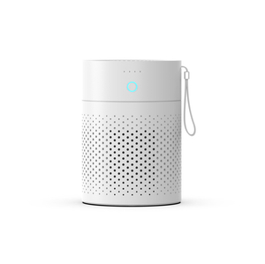 <span class=keywords><strong>Purificateur</strong></span> <span class=keywords><strong>d</strong></span>'<span class=keywords><strong>air</strong></span> portable 2 <span class=keywords><strong>en</strong></span> <span class=keywords><strong>1</strong></span> avec véritable filtre Hepa humidificateur <span class=keywords><strong>purificateur</strong></span> <span class=keywords><strong>d</strong></span>'<span class=keywords><strong>air</strong></span> de bureau pour petits fumeurs domestiques poussière animaux de compagnie - Product Image 2