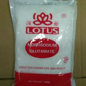 Food grade Monosodium Glutamate msg manufacture