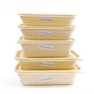 Sinh Thái Thân Thiện Với Biểu Tượng Tùy Chỉnh Nhà Hàng Lớn Salad Để Đi Thực Phẩm Container Dùng Một Lần Nhựa Ăn Trưa Hộp Tinh Bột Ngô Thực Phẩm Container