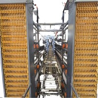 Nouvelle cage à poules pondeuses Agricon de type H, ferme avicole, alimentation et abreuvement automatiques, collecte des œufs, acier galvanisé à chaud, 96-160