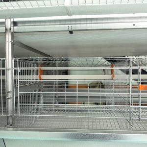 Cage à poulets automatique de type H pour poules pondeuses, avec ramassage automatique des œufs, <span class=keywords><strong>poulailler</strong></span> pour 15 000 oiseaux, 380V, économie de main-d'œuvre - Product Image 4