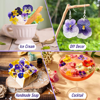 Fleurs séchées pressées pour bijoux en résine DIY, fleurs de violoncelle inaltérables, fournitures florales DIY pour coques de téléphone, fleurs séchées pressées DIY