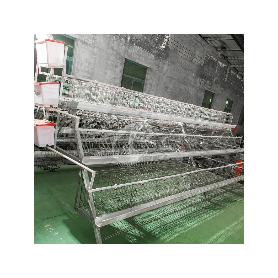 China A Type Laying Coop Wholesale Cages For Laying Hens Manufacturers Add Food Automatically Breeding Layer Cages