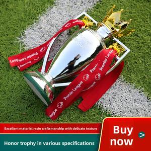 เหรียญที่ระลึกสำหรับถ้วยรางวัลพรีเมียร์ลีกเชลซี - Product Image 2