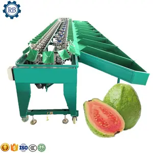 High Speed strawberry grade machine jujube and dates fruit juice syrup processing line apple sorter sorting grading machine
