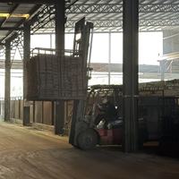 Charbon de bois noir YIWAN Xiamen pour barbecue, 7600 calories, emballé en bouteilles et en boîtes