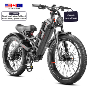 Vélo électrique tout-terrain robuste pour adultes, avec batterie intégrée 48V, modèle Step-Thru. - Product Image 1