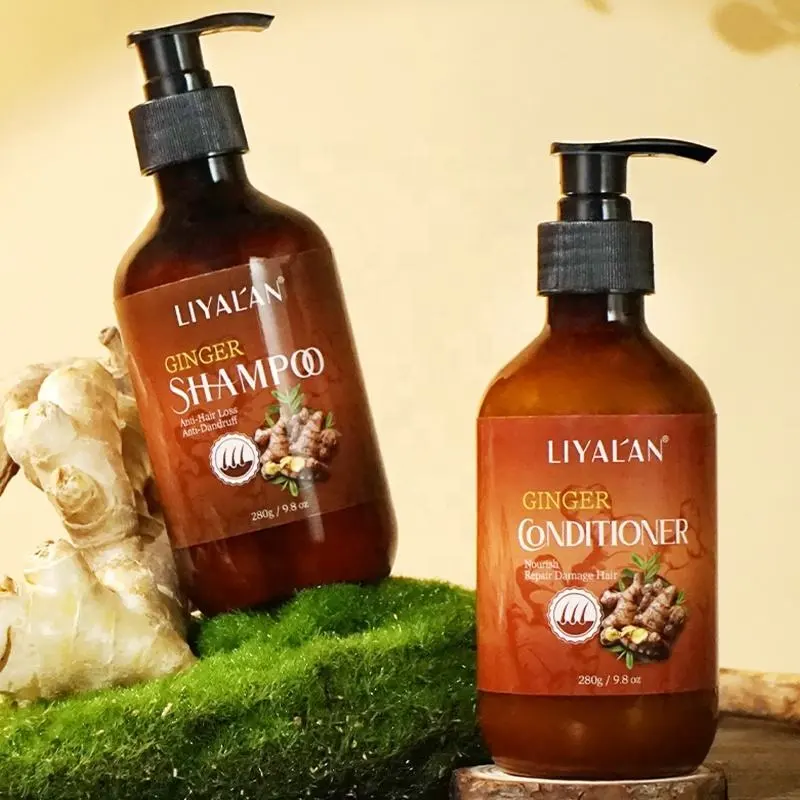 Shampooing et après-shampooing à base de plantes au gingembre Produits de soins capillaires sous marque privée personnalisés