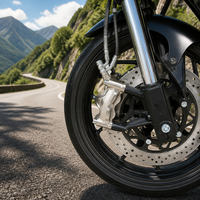 Ensemble de freins à disque CBS universel pour moto, système de freinage hydraulique avant et arrière avec étriers personnalisés et réservoir d'huile